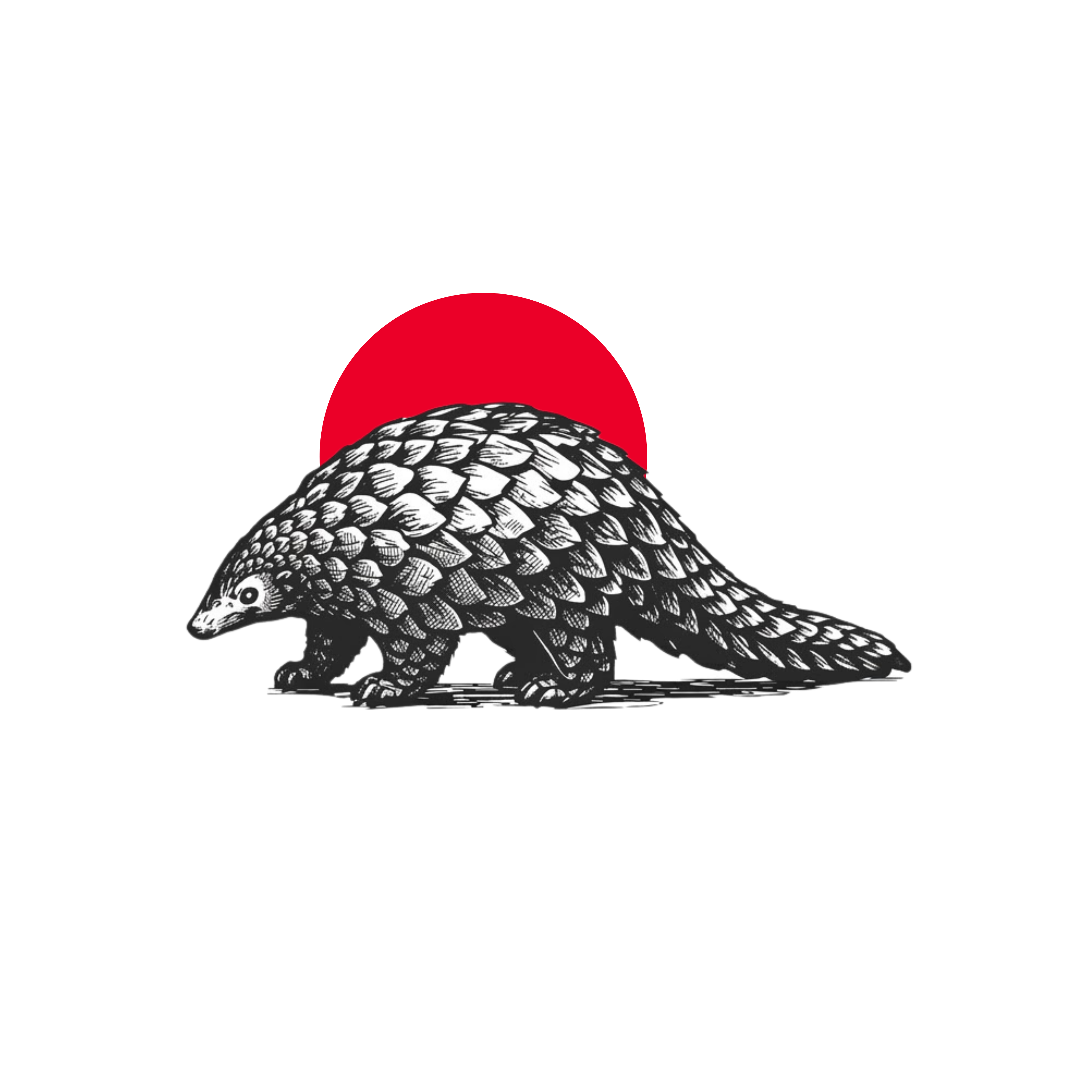 Pangolin